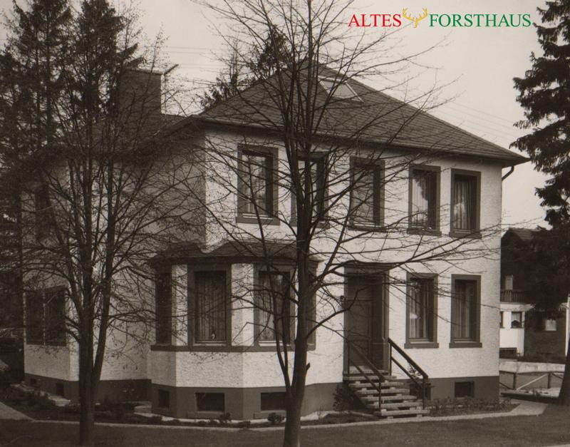 Altes Forsthaus Panzió Manderscheid Kültér fotó